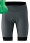 Bikepants Women Shorts SITIVO W grey green sargasso sea/brightgreen